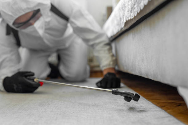 Professional Bed Bug Control technician working in Pinehurst, NC
